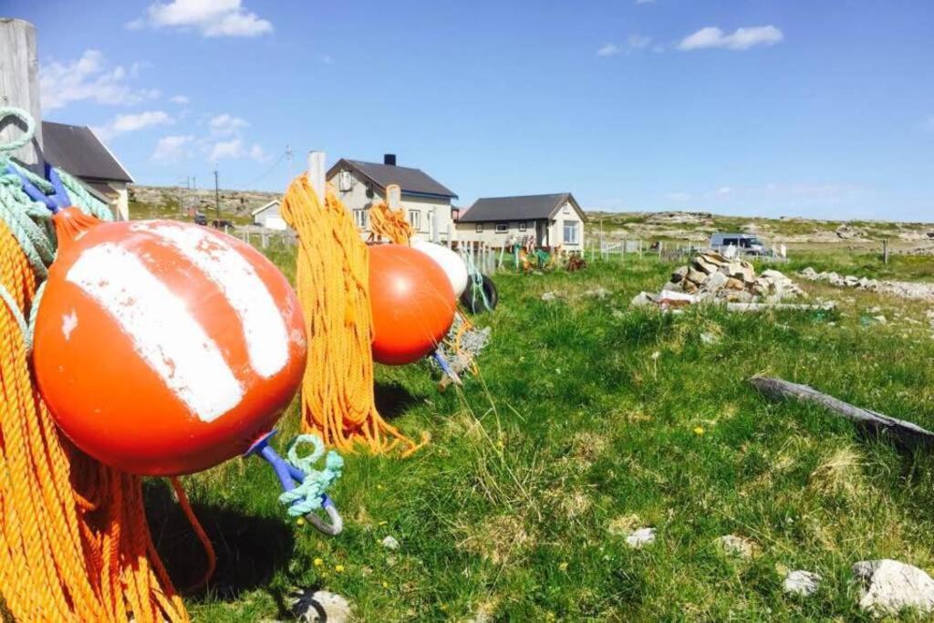 Arctic House By The Sea, Vadso, Varanger Bagian luar foto